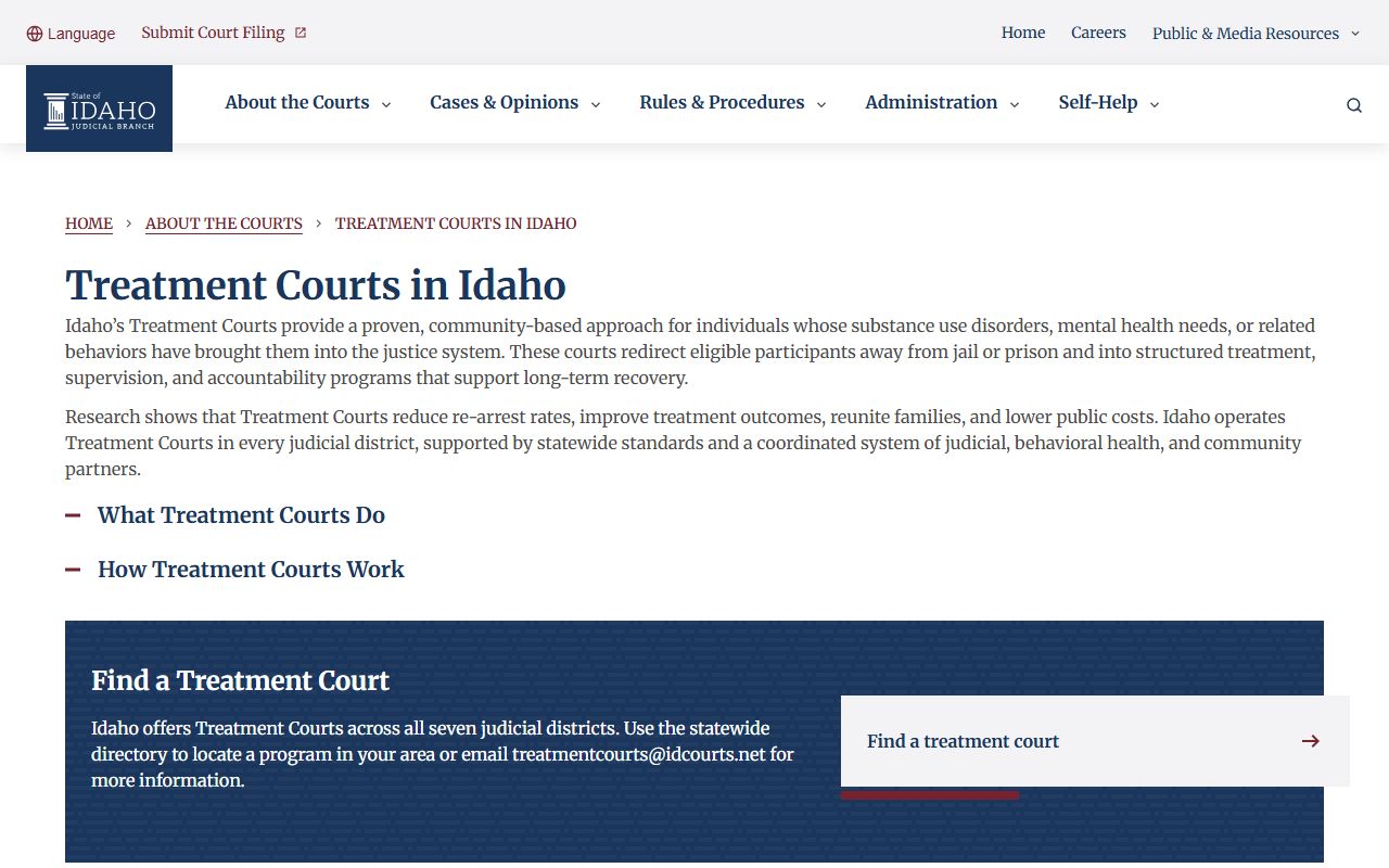 Idaho treatment courts overview for criminal court alternatives